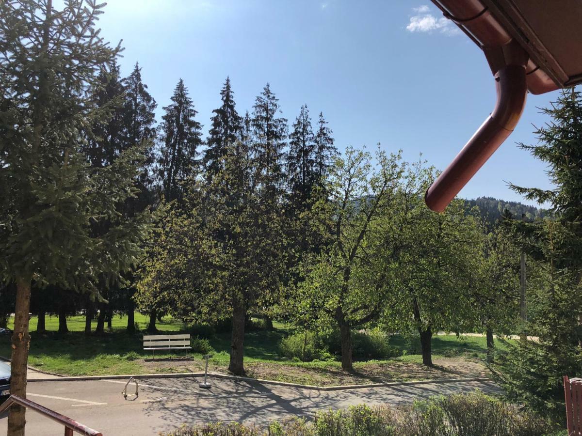 Apartament Viva Predeal Dış mekan fotoğraf